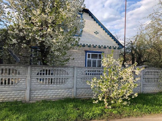 Будинок у м. Лохвиця 80 кв.м (земельна ділянка – 0,06 га) Лохвица