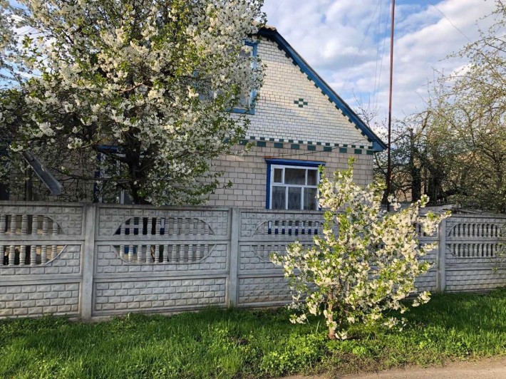 Будинок у м. Лохвиця 80 кв.м (земельна ділянка – 0,06 га) - фото 1