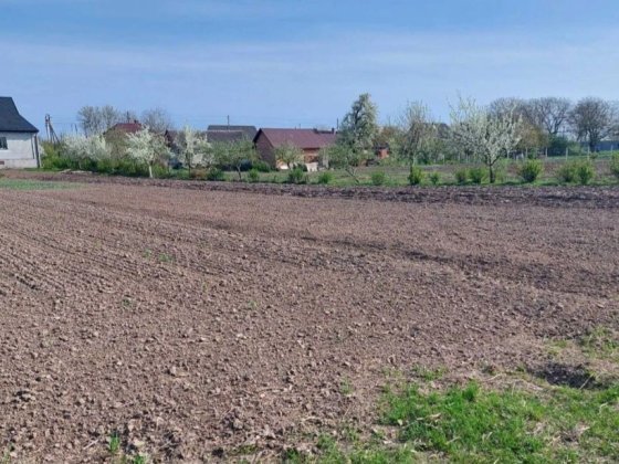 Продамо землю Горбанівка від власника Горбанівка