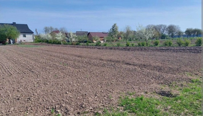 Продамо землю Горбанівка від власника - фото 1