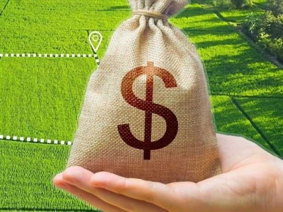 Продаж земля 4,38 га ріллі без орендаря у Гребінківському районі (Полтавська обл.) Гребенка