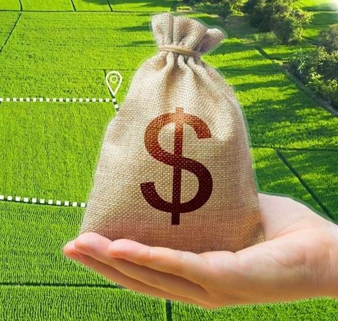 Продаж земля 4,38 га ріллі без орендаря у Гребінківському районі (Полтавська обл.) - фото 1