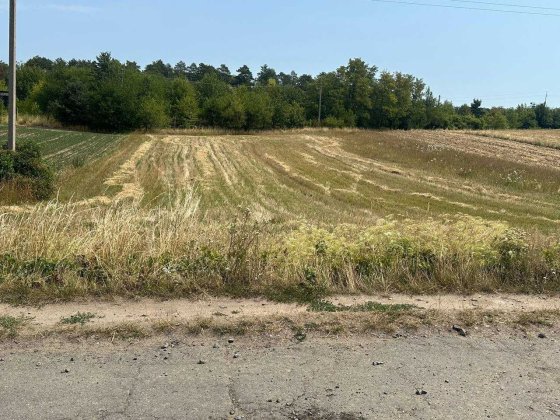 Продам дешево земельну ділянку від власника! с. Обарів, 2,5 км від Рівного Обаров