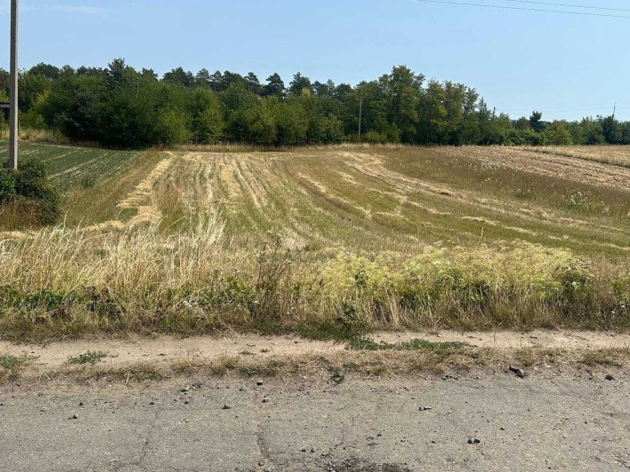 Продам дешево земельну ділянку від власника! с. Обарів, 2,5 км від Рівного - фото 1