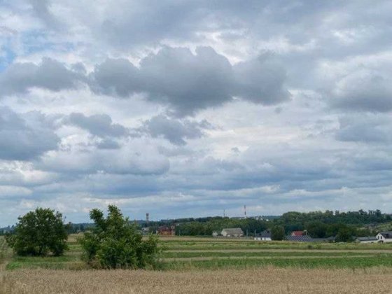 Продам земельну ділянку в с. Обарів Обаров
