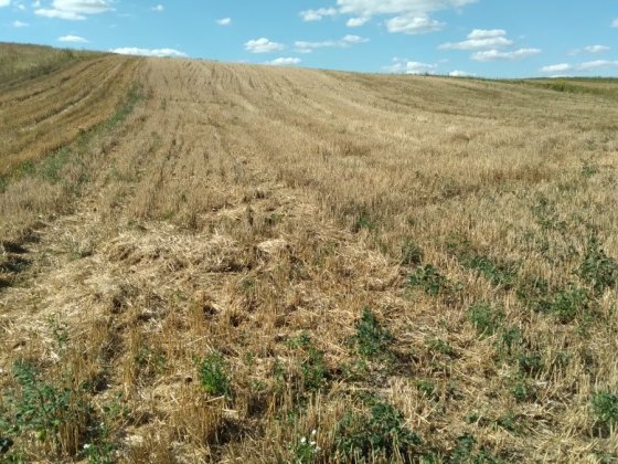Продаж земельної ділянки під забудову Обаров