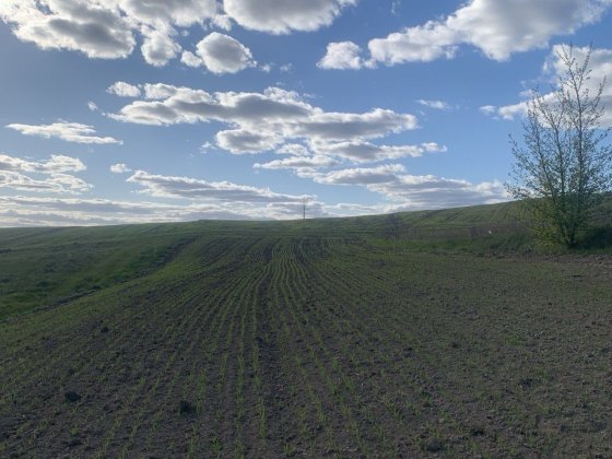 ₴Ділянка Обарів 12 соток Обаров