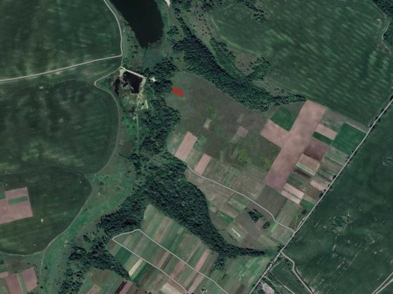 Продаж земельної ділянки для садівництва Біла Криниця