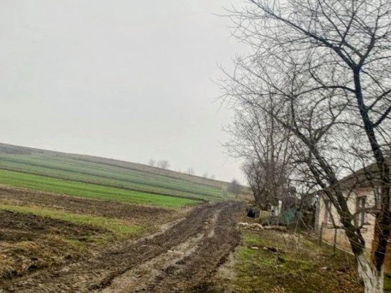Земельна ділянка в Обарові. Обарів