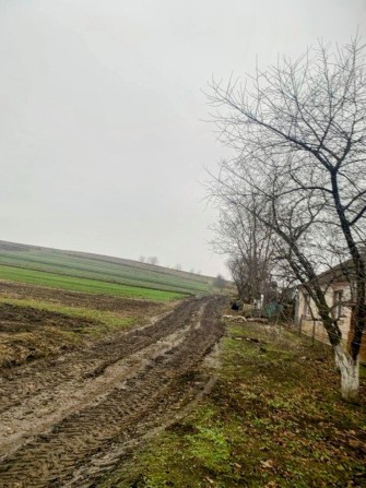 Земельна ділянка в Обарові. - фото 1