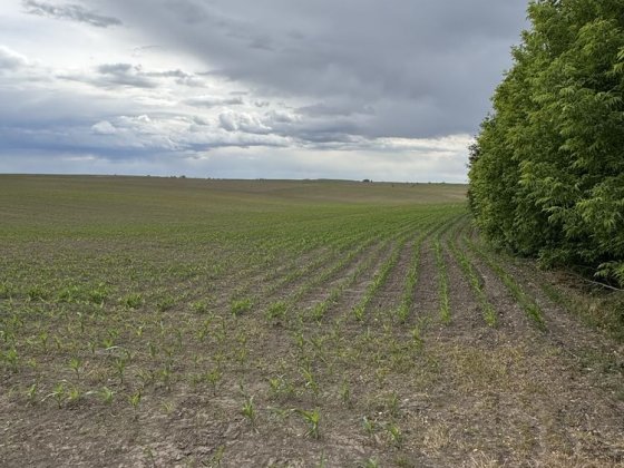 Продам фасадну ділянку 2.1 га за Обаровом Обаров