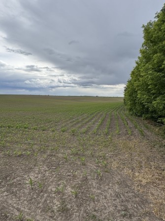 Продам фасадну ділянку 2.1 га за Обаровом - фото 1