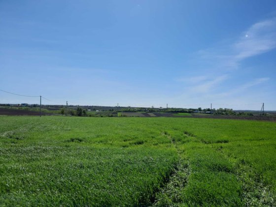 Продам земельну ділянку у В.Омеляні Большая Емельяна