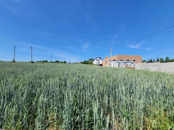 Продаж ділянки під забудову 13 сот в Петриках Петриков