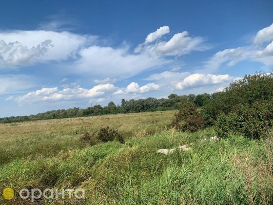Продаж землі 8 соток, Петриків. Петриков