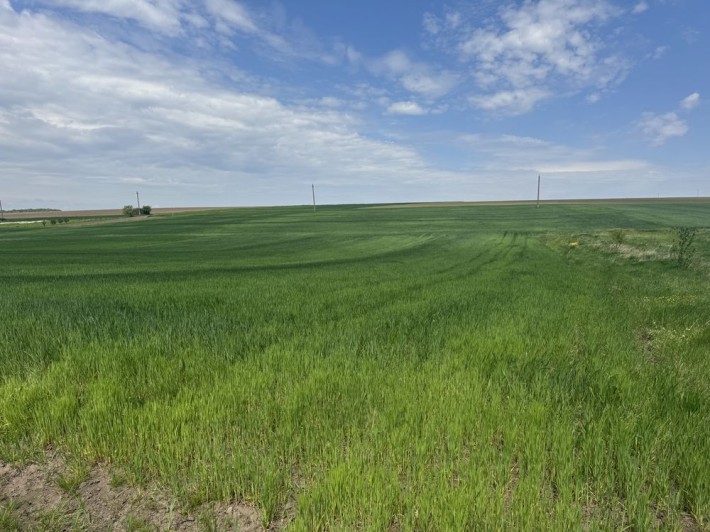 Продаж земельної ділянки в Теребовлі - фото 1
