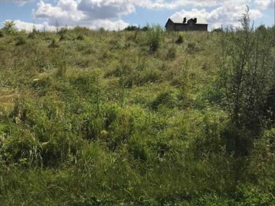 Земельна ділянка під житлову забудову , площа 10 соток, Пронятин Белая