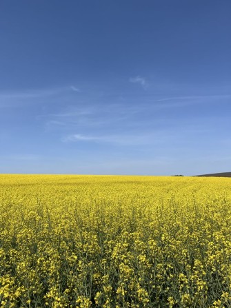 Продам земельну ділянку в с.В.Березовиця - фото 1