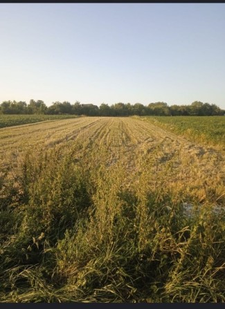 Продається земельна ділянка. - фото 1