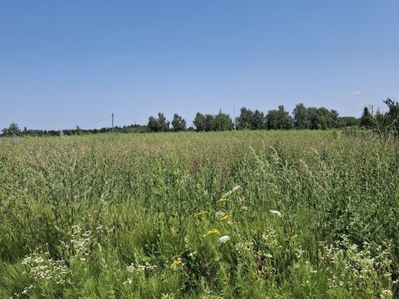 Продаж земельної ділянки під забудову м.Почаїв Почаїв