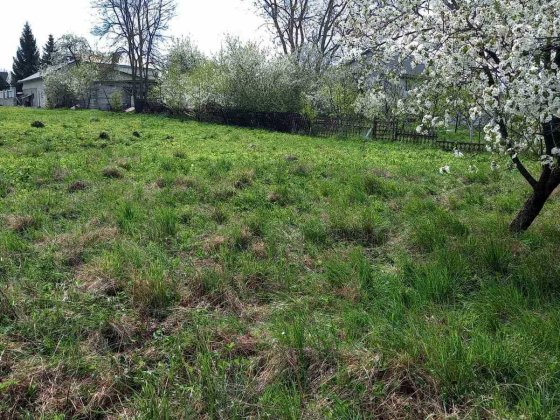 Земельна ділянка під забудову, с. Великі Гаї, Тернопільська обл. Великі Гаї