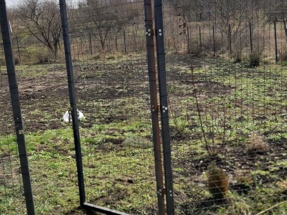 Ділянка дачна на Львівських  других дачах Гаї Гречинські