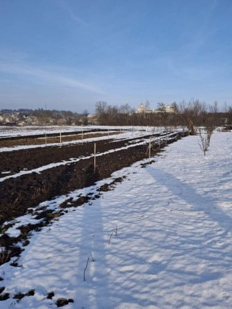 Продаж земельної ділянки під забудову м.Почаїв - фото 1