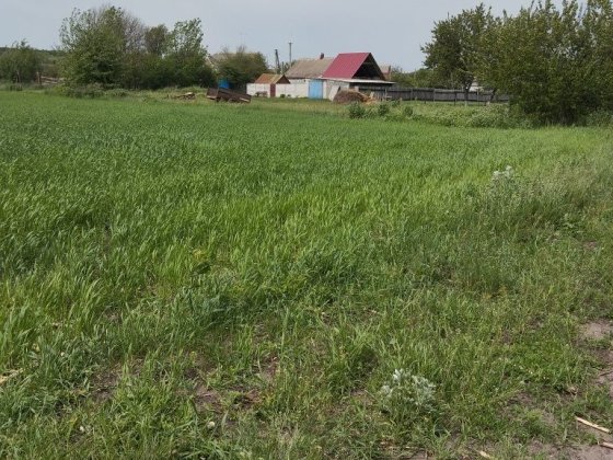 Продам участок Нововодолажский район  под застройку или модульный дом Новая Водолага
