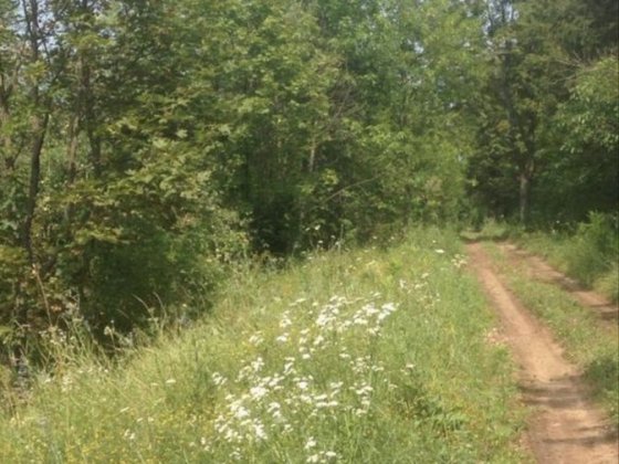 Продажа земельных участков Покотиловка