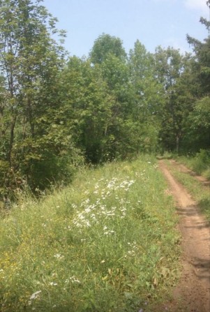 Продажа земельных участков - фото 1