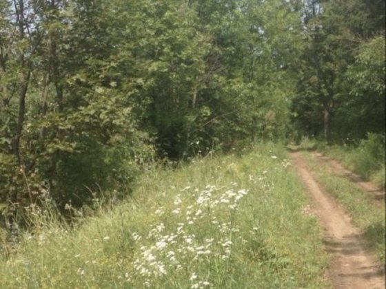 Продажа земельных участков Покотиловка
