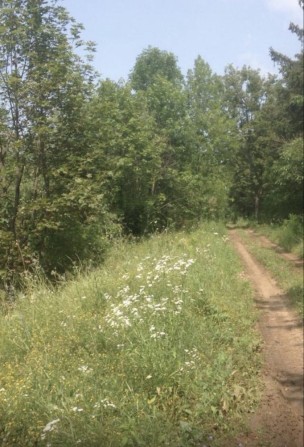 Продажа земельных участков - фото 1