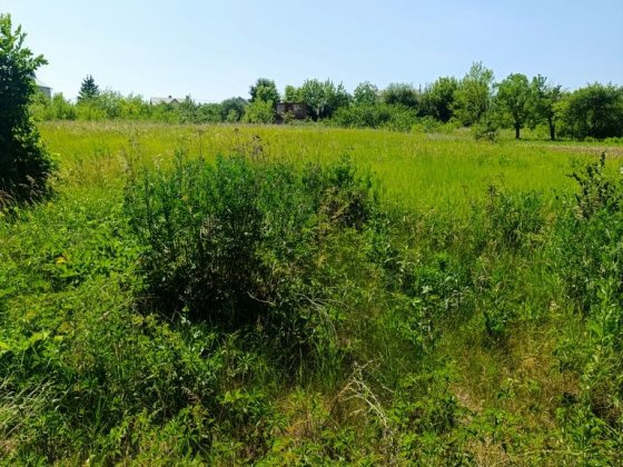 Продам земельну ділянку. Бабаи