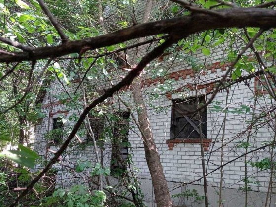 Продаж земельної ділянки в Бабаях Бабаи