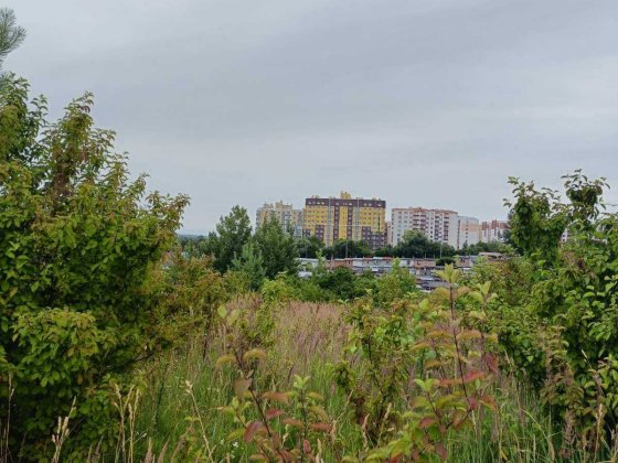 продаж ділянок у місті Лесные Гриновцы