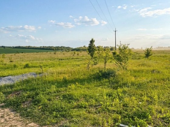Ділянка 10 соток Лісові гринівці Лісові Гринівці