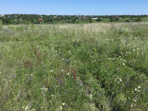 Участоки в Лесовых Гриневцах - 2 по 10 соток рядом Лесные Гриновцы