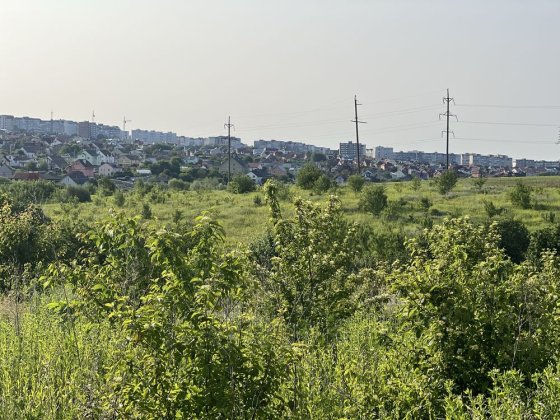 Обрій-2, 8,6сото 350у.о/сотку Лісові Гринівці