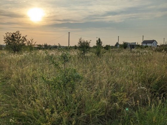 Ділянка участок мікрорайон:масив Колос Лісові Гринівці