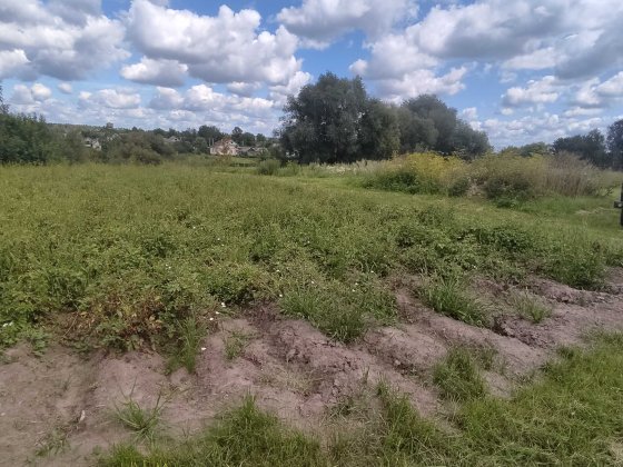 Земельна ділянка Полонное