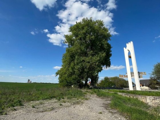 Земельна ділянка біля траси Хмельницький -Чернівці від власника. Шаровечка