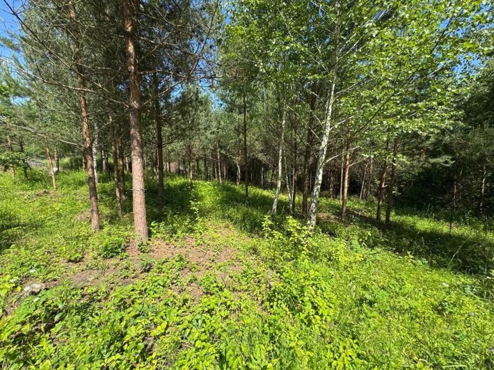 Земельна ділянка м.Хмельницький Стуфченці - фото 1