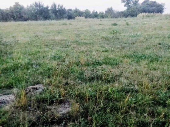 Продаж земельної ділянки 18 соток у с. Стуфчинці (Хмельницький район) Стуфчинцы