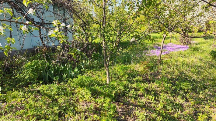 Продаж земельної ділянки. с. Давидківці. - фото 1