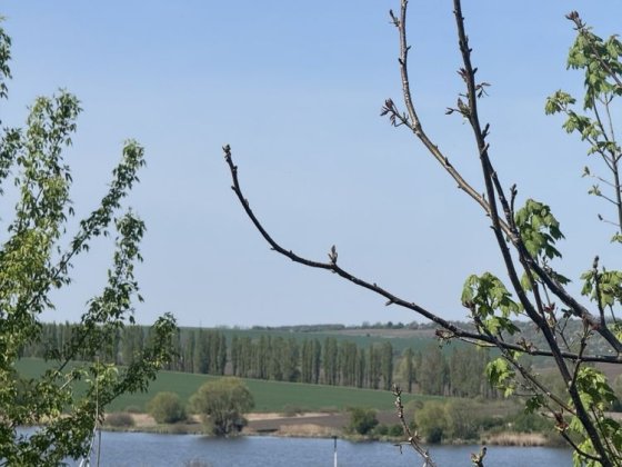 Продам 23 сот. Давидківці з видом на озеро Давыдковцы