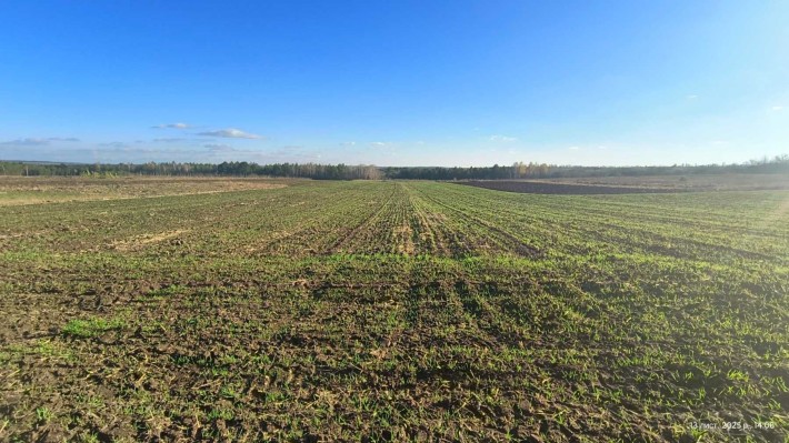 Продаж земельної ділянки, Стара Ушиця, під будівництво - фото 1