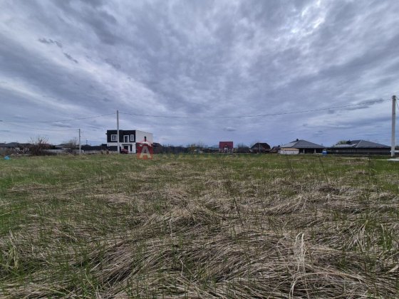 Земельна ділянка 7 соток у с. Слобода — ідеальне місце для вашого дому! Червона Слобода