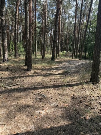 Продаж приватизованої земельної ділянки в с. Слобода. - фото 1