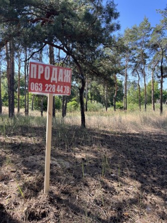 Продам 6 соток біля води і лісу Соснового, друга лінія - фото 1