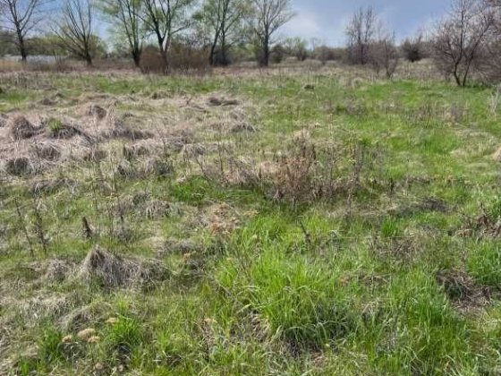 Пропоную до продажу земельну ділянку с. Ч.Слобода Червона Слобода